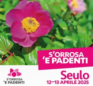 S'Orrosa e Padenti Seulo 2025, manifesto con date, programma e orari degli eventi | Sardegna in blog