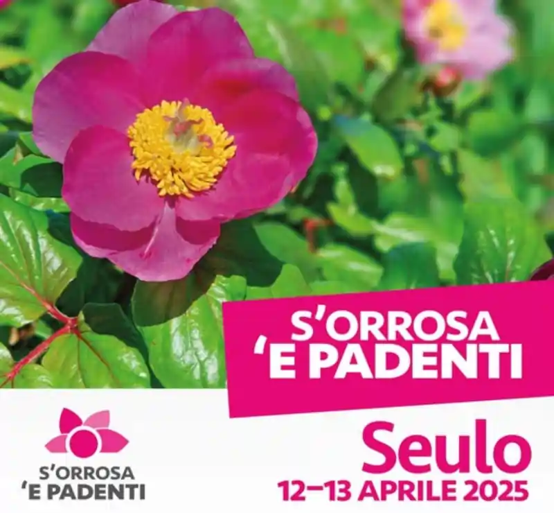 S'Orrosa e Padenti Seulo 2025, manifesto con date, programma e orari degli eventi | Sardegna in blog