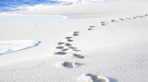 spiaggia-is-arutas-cabras
