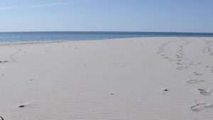 spiaggia-berchida-siniscola