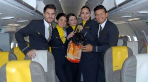 cani-gatti-in-volo-vueling