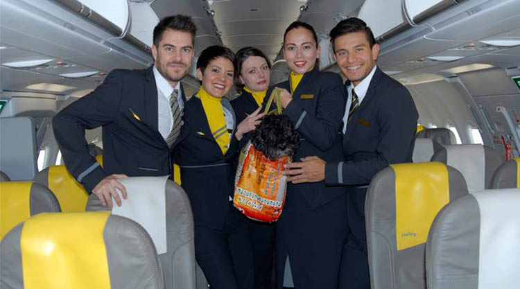 cani-gatti-in-volo-vueling