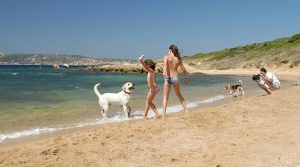 dog-beach-palau-sardinia