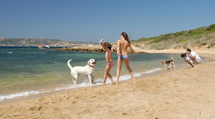 dog-beach-palau-sardinia