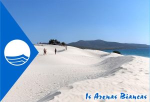 spiaggia-is-arenas-biancas-teulada