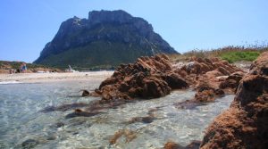 spiaggia-isola-di-tavolara
