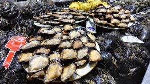cozze-sardegna