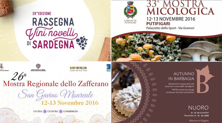 Weekend 11, 12 e 13 novembre 2016: Ecco gli eventi, le sagre e i concerti da non perdere in Sardegna!