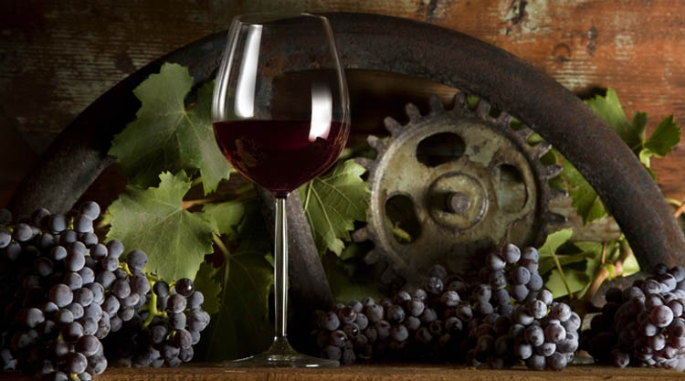 Furono i Sardi i primi a produrre il vino nel Mediterraneo. Ecco le prove!