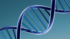 dna