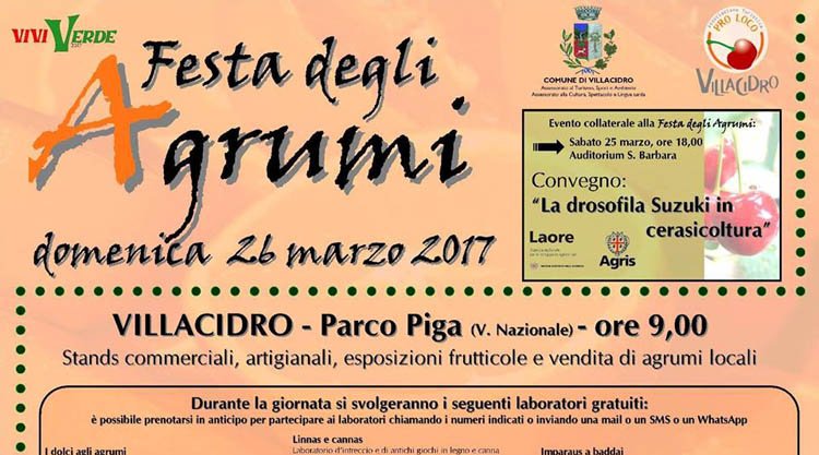 sagra-agrumi-villacidro-manifesto-2017