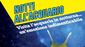 notti-acquario-cala-gonone