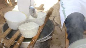 Sagra del formaggio di Mandas