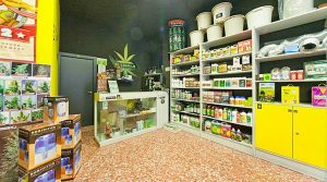 negozi-cannabis-sardegna