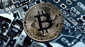 sardcoin-vs-bitcoin
