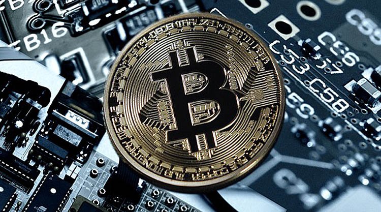 sardcoin-vs-bitcoin