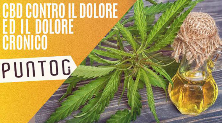 cbd-contro-dolore-cronico
