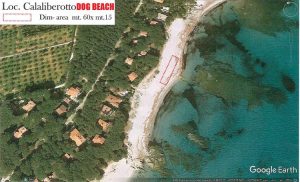 dog-beach-cala-liberotto-orosei