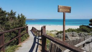 spiaggia-la-pelosa-stintino-passerella