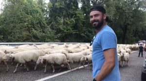 zac-efron-pecore-sardegna