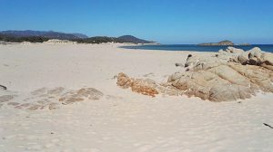 spiaggia-su-giudeu-chia