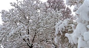 allerta-neve-sardegna