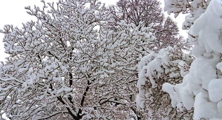 allerta-neve-sardegna