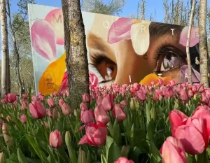 Il giardino di Lù a Pimentel riapre nel 2025, tutte le info | Sardegna in blog