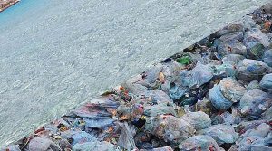 stintino-plastic-free
