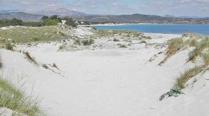 dune-capo-comino-siniscola