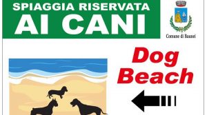 dog-beach-santa-maria-navarrese