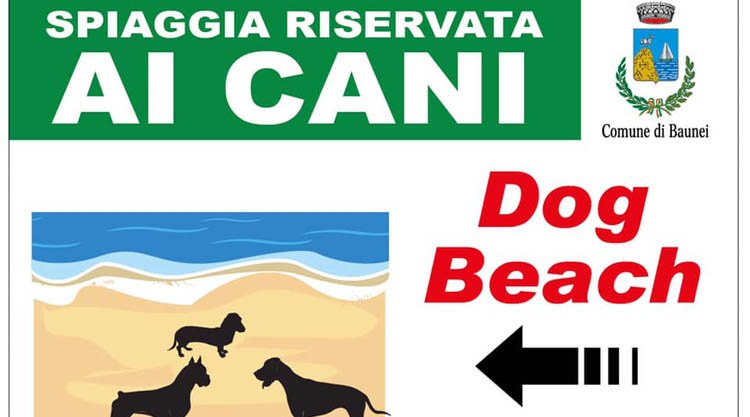 dog-beach-santa-maria-navarrese