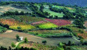 autunno-in-barbagia-sorgono