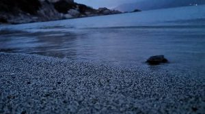 piccolo-tartaruga-caretta-caretta-cala-sinzias