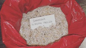 sabbia_rubata_is_arutas_marzo_2020-coronavirus