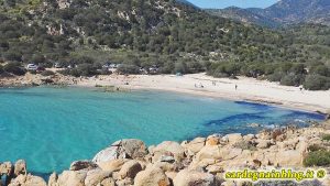cala_cipolla_chia