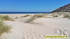 dune_su_giudeu_chia