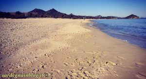 spiaggia_cala_sinzias
