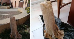 stalattite_ritrovata_alghero