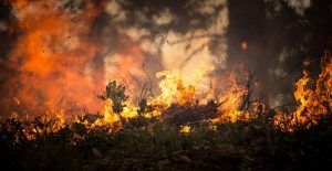 incendio_sardegna