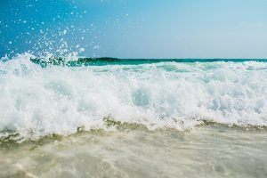 mare