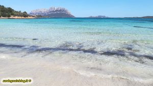 porto_istana_olbia_prima_spiaggia