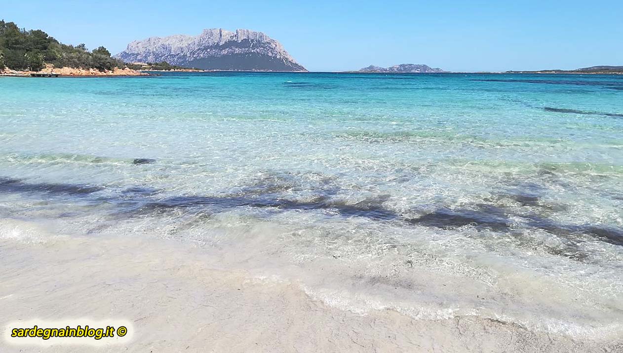 porto_istana_olbia_prima_spiaggia