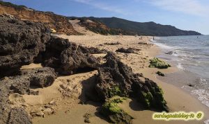 spiaggia_scivu_arbus