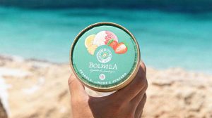coppetta_gelato_bolmea