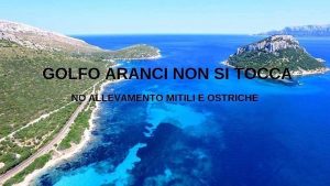 Petizione online contro l'allevamento di ostriche nel mare di Golfo Aranci
