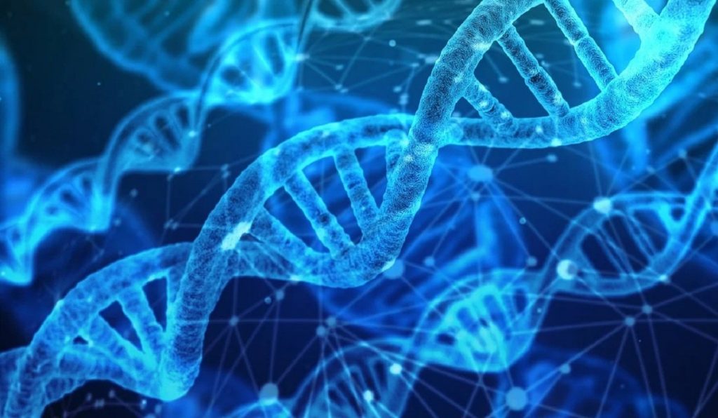 DNA dei sardi