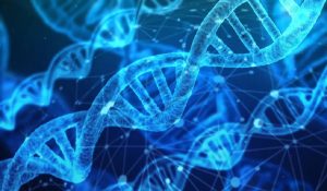 DNA dei sardi