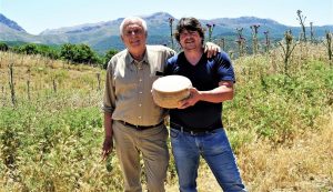Pecorino dell-alta Baronia di Gianni Mele