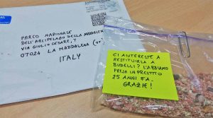 Sabbia della spiaggia rosa di Budelli resa dall'Inghilterra